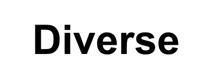 DIVERSE DIVERSE