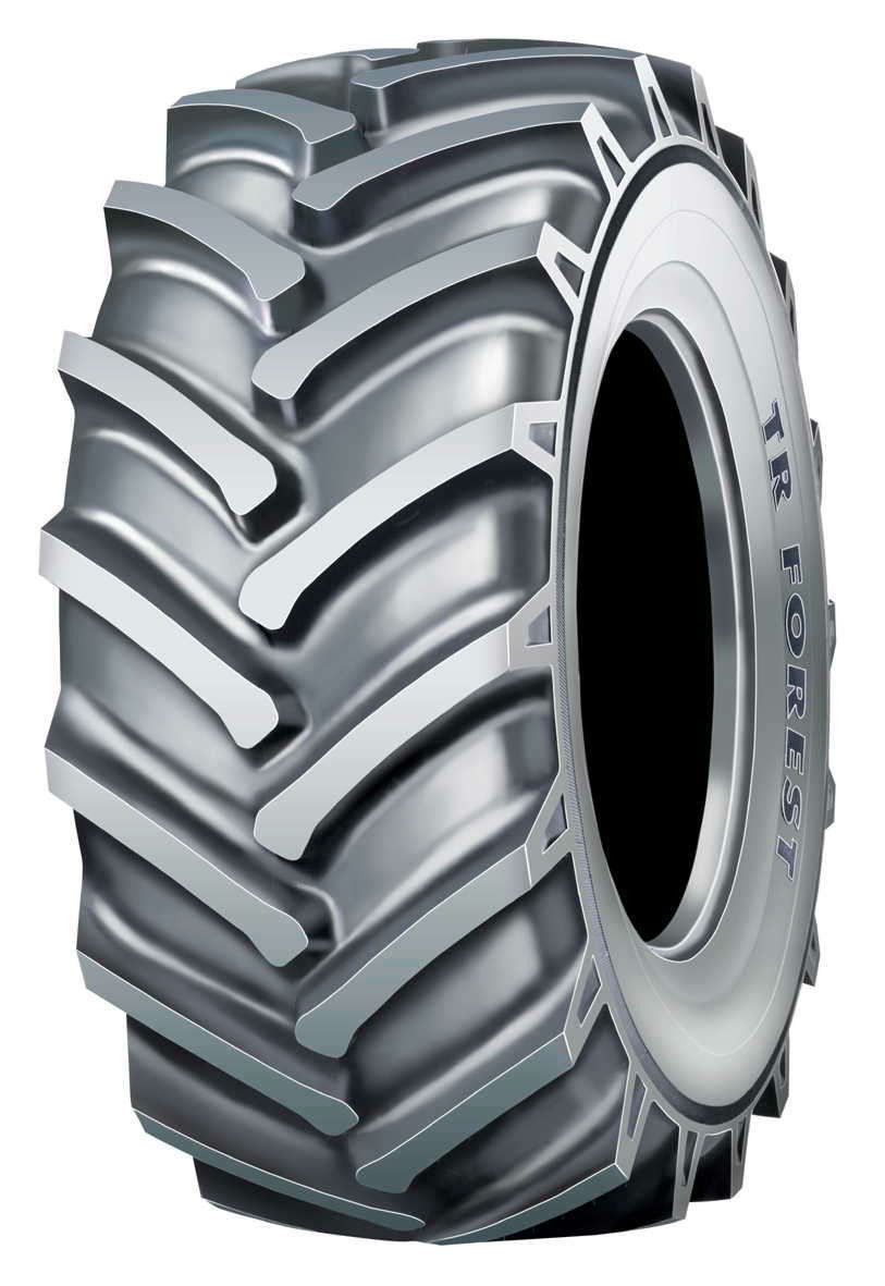 NOKIAN 650/65R38 TR MULTIPLUS TL 164A8/160B
